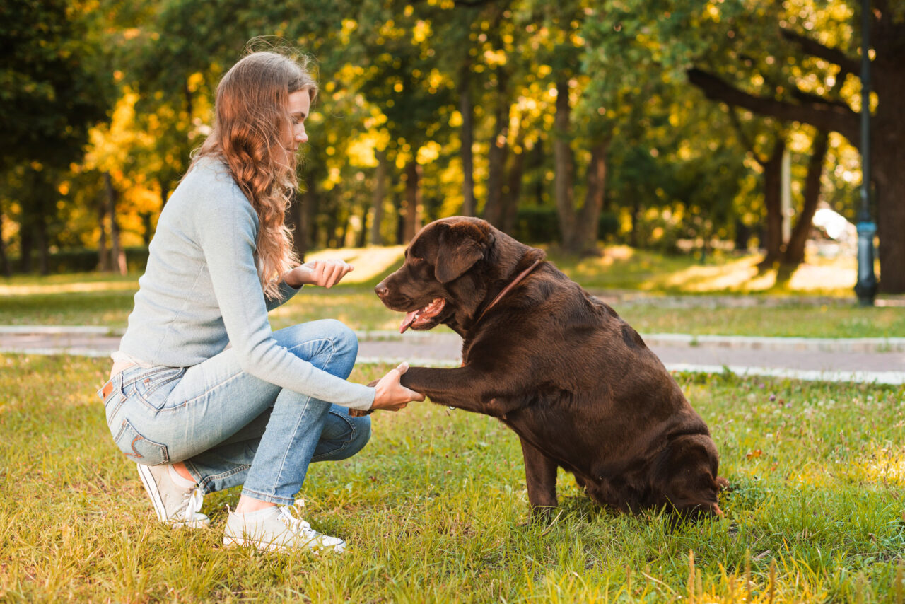 Dog Training • Canine Training • Obedience Training | Stockton, CA