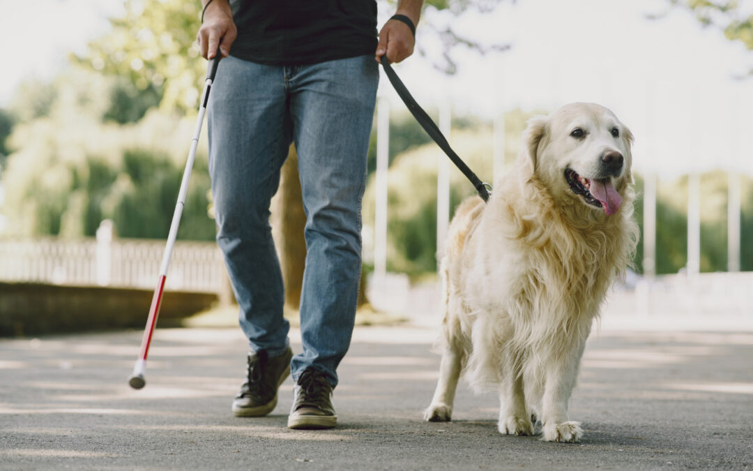 Emotional Support Animals vs. Service Dogs: What’s the Difference and Why It Matters